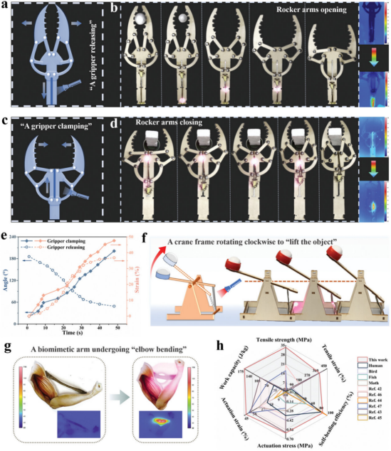 《Advanced Materials》发表航空学院苗应刚合作研究成果-20241225(1)1242.png