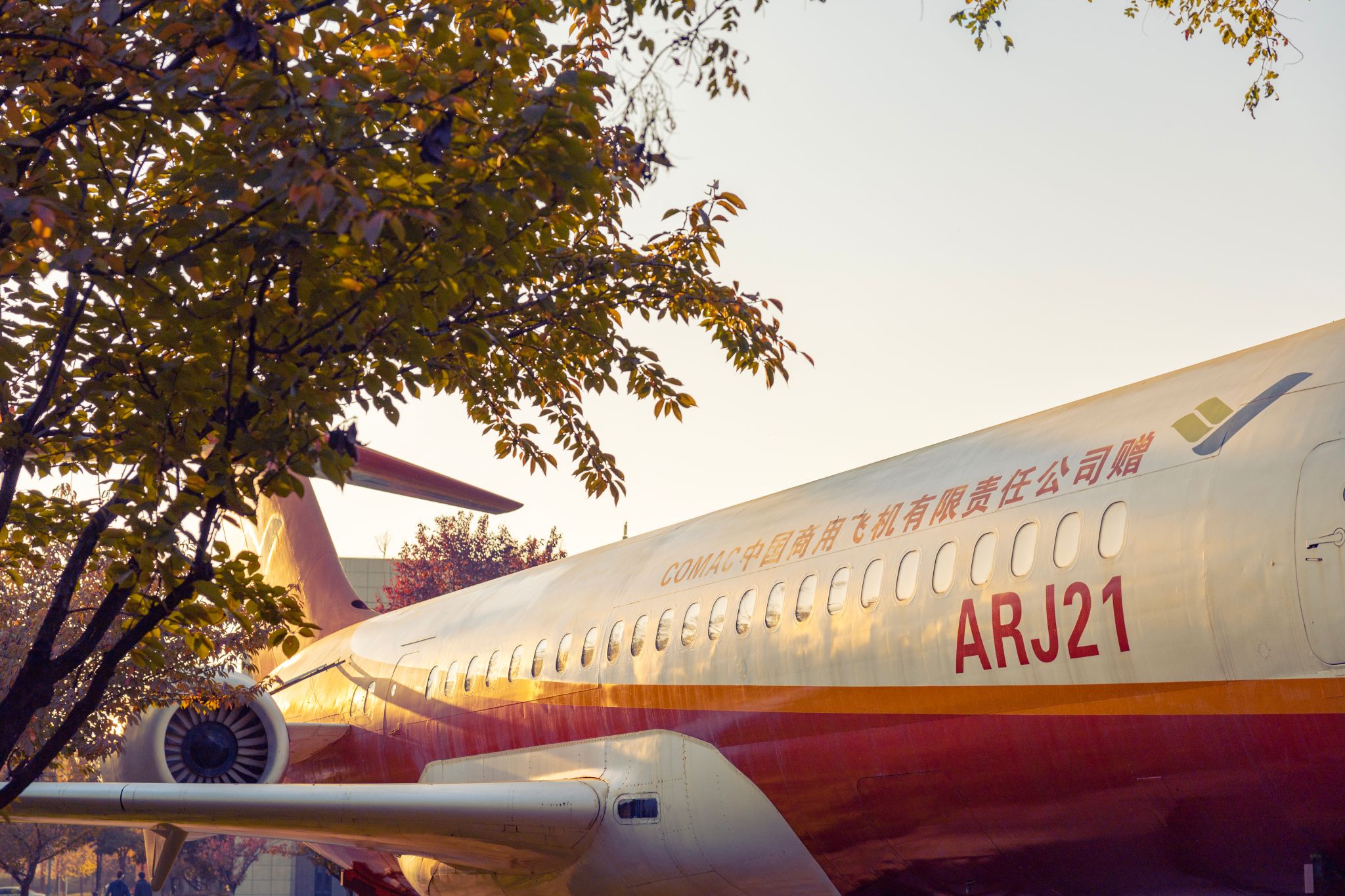 卢迪 (11).jpg undefined