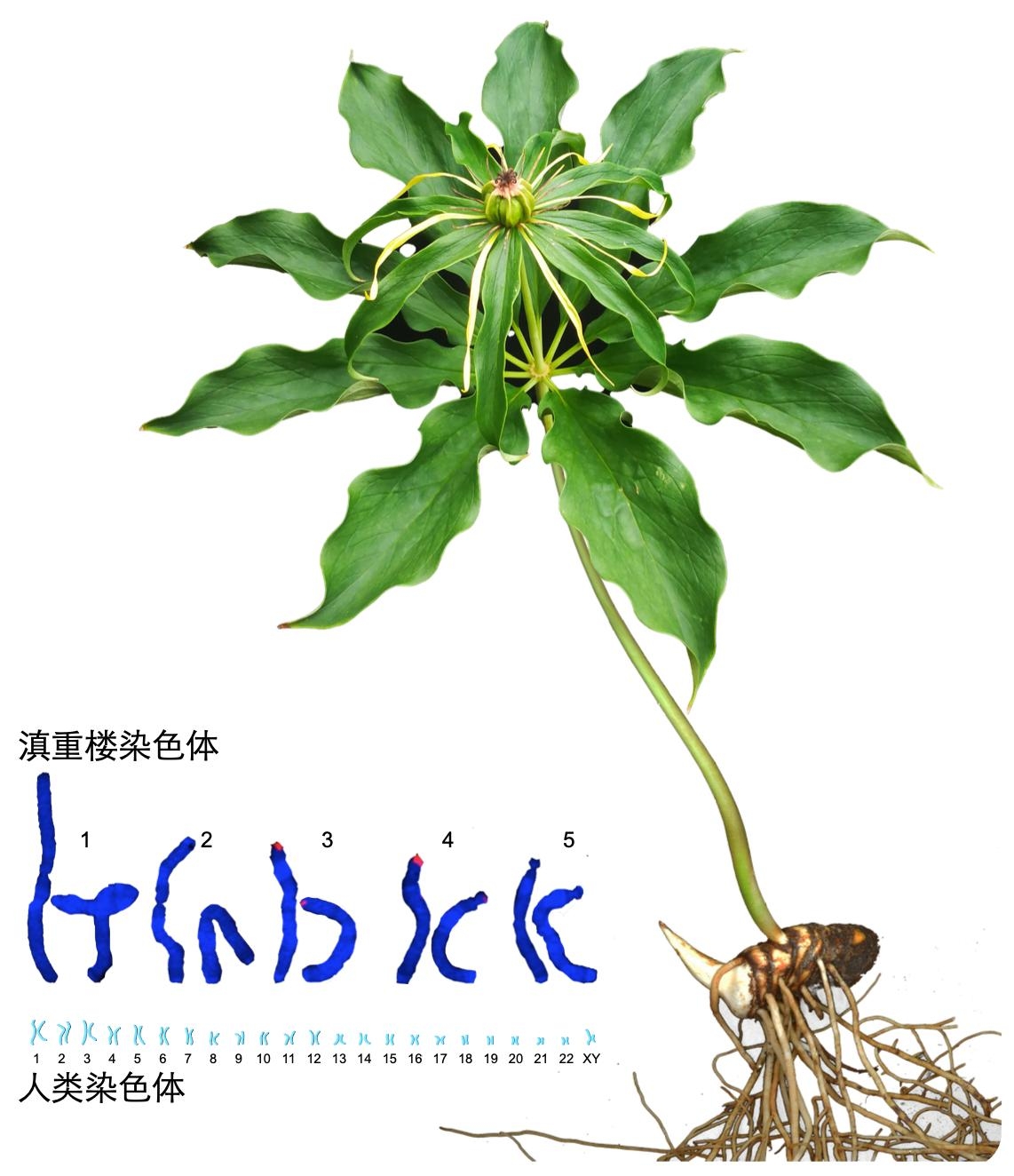 图片2.jpg 图片2.jpg