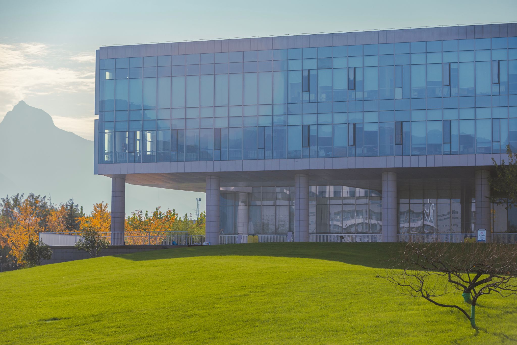 卢迪 (5).jpg undefined