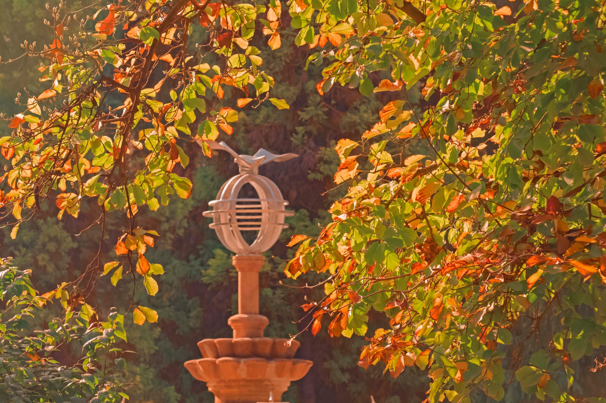 王乐宇 (5).jpg undefined