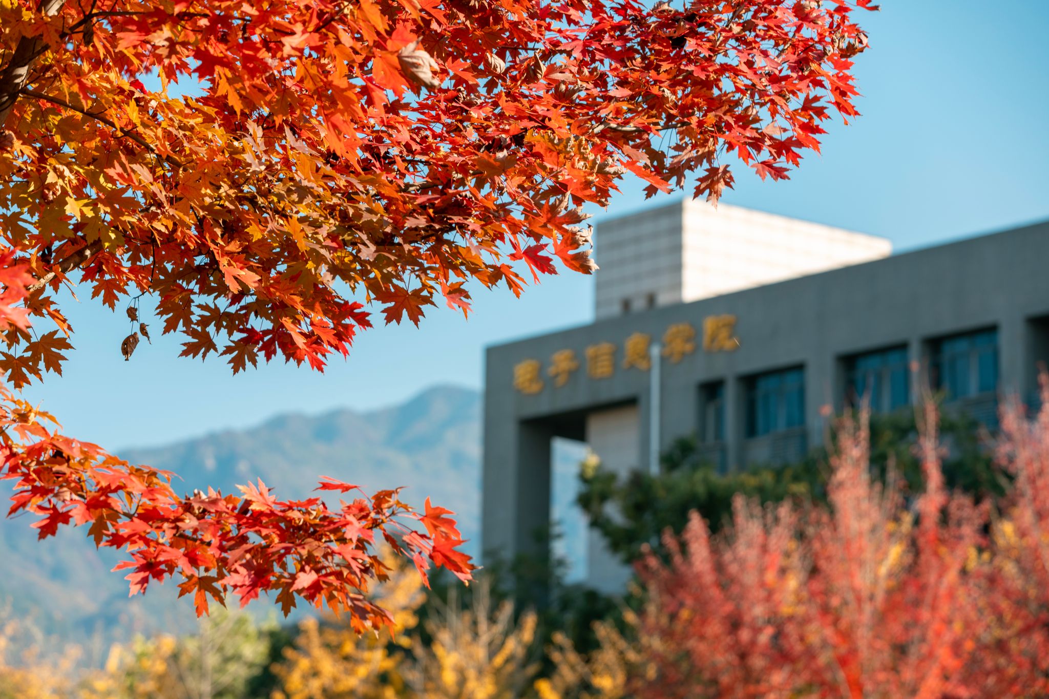 卢迪 (9).jpg undefined