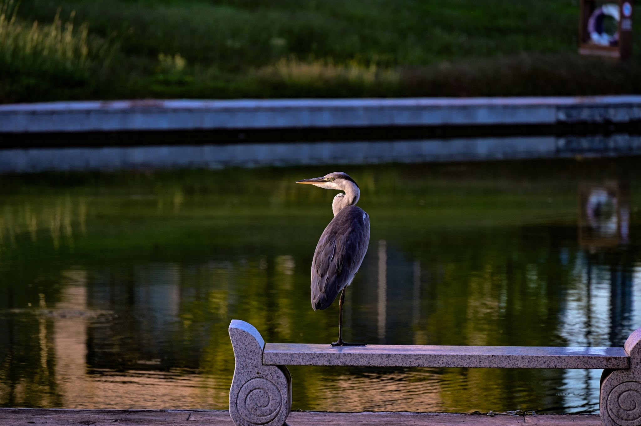 星星火—何锦昊(1).jpg undefined