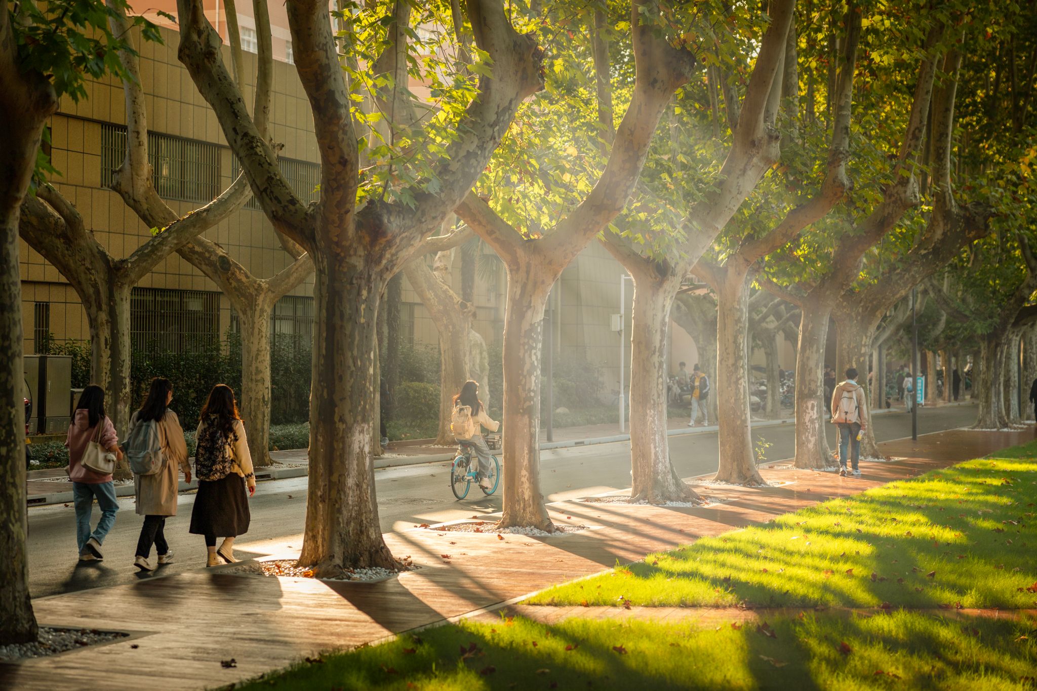 卢迪 (1).jpg undefined