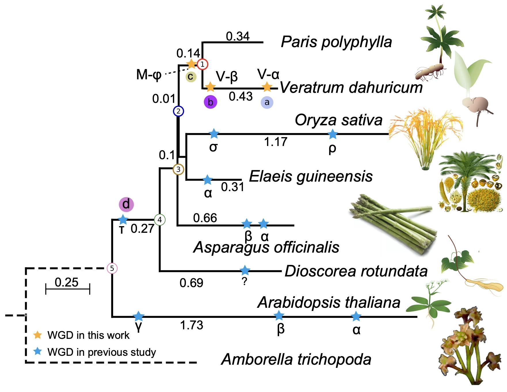 图片4.jpg 图片4.jpg