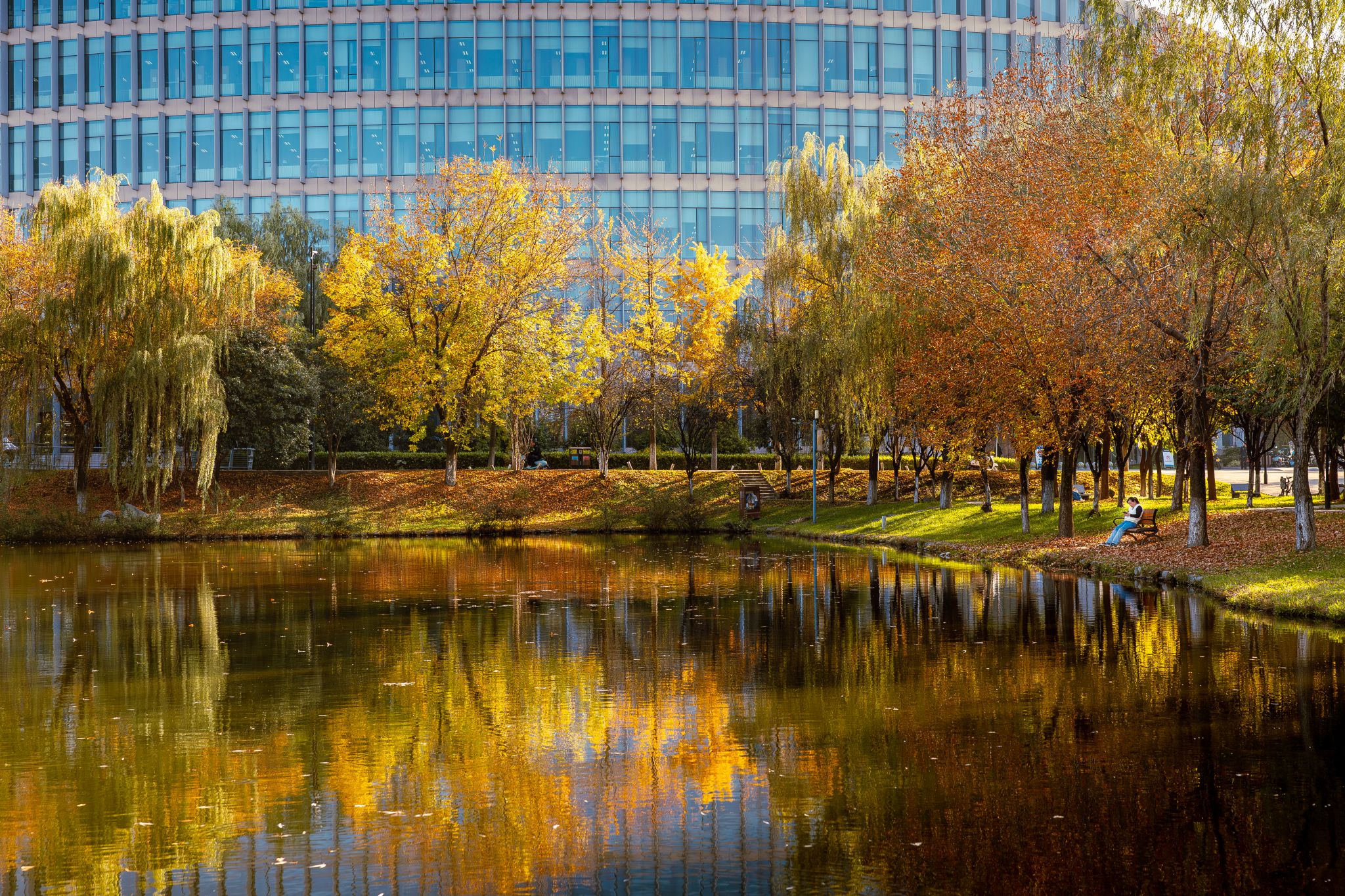 卢迪 (4).jpg undefined