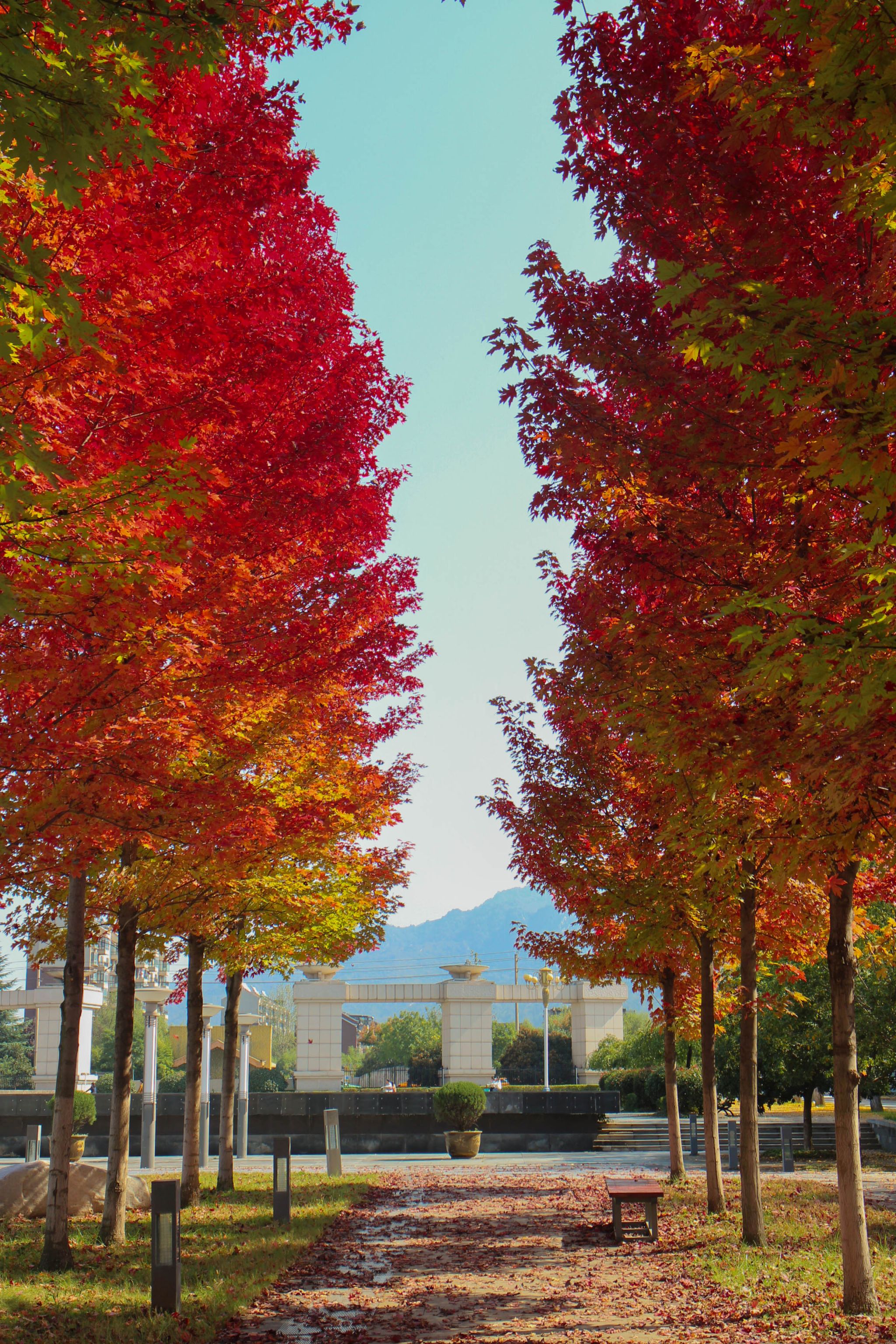 蔡思雨.jpg undefined