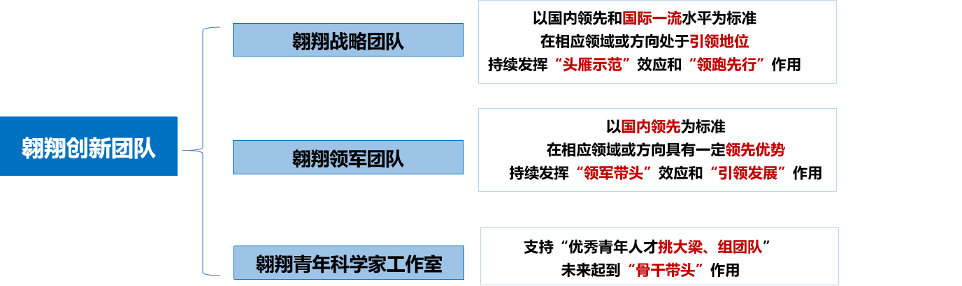 图4-1:学校翱翔创新团队体系.png undefined