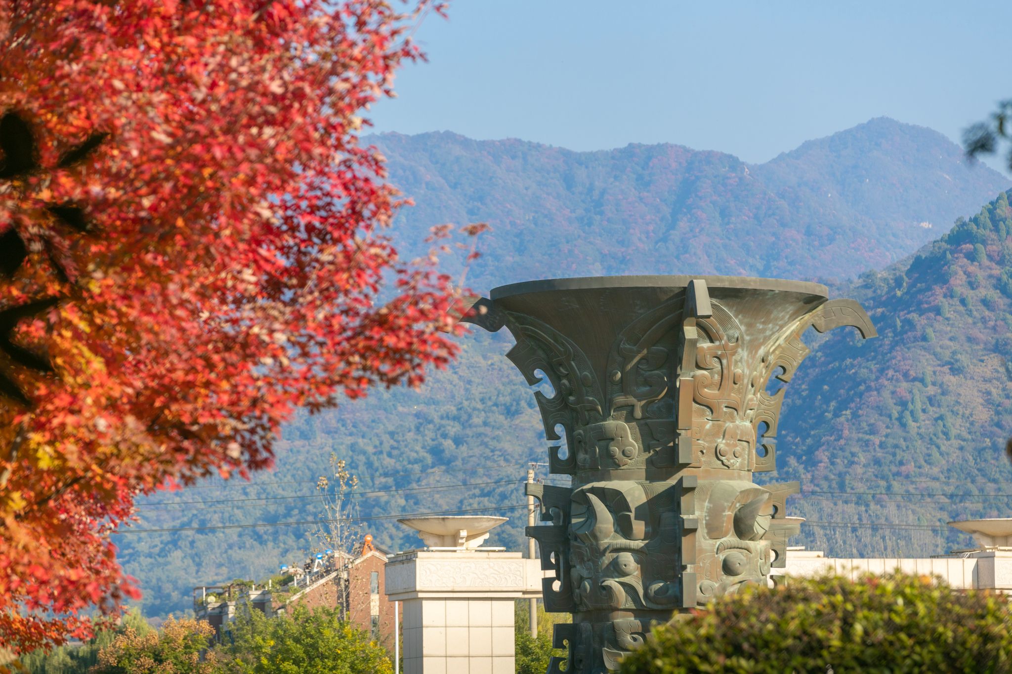 卢迪 (8).jpg undefined