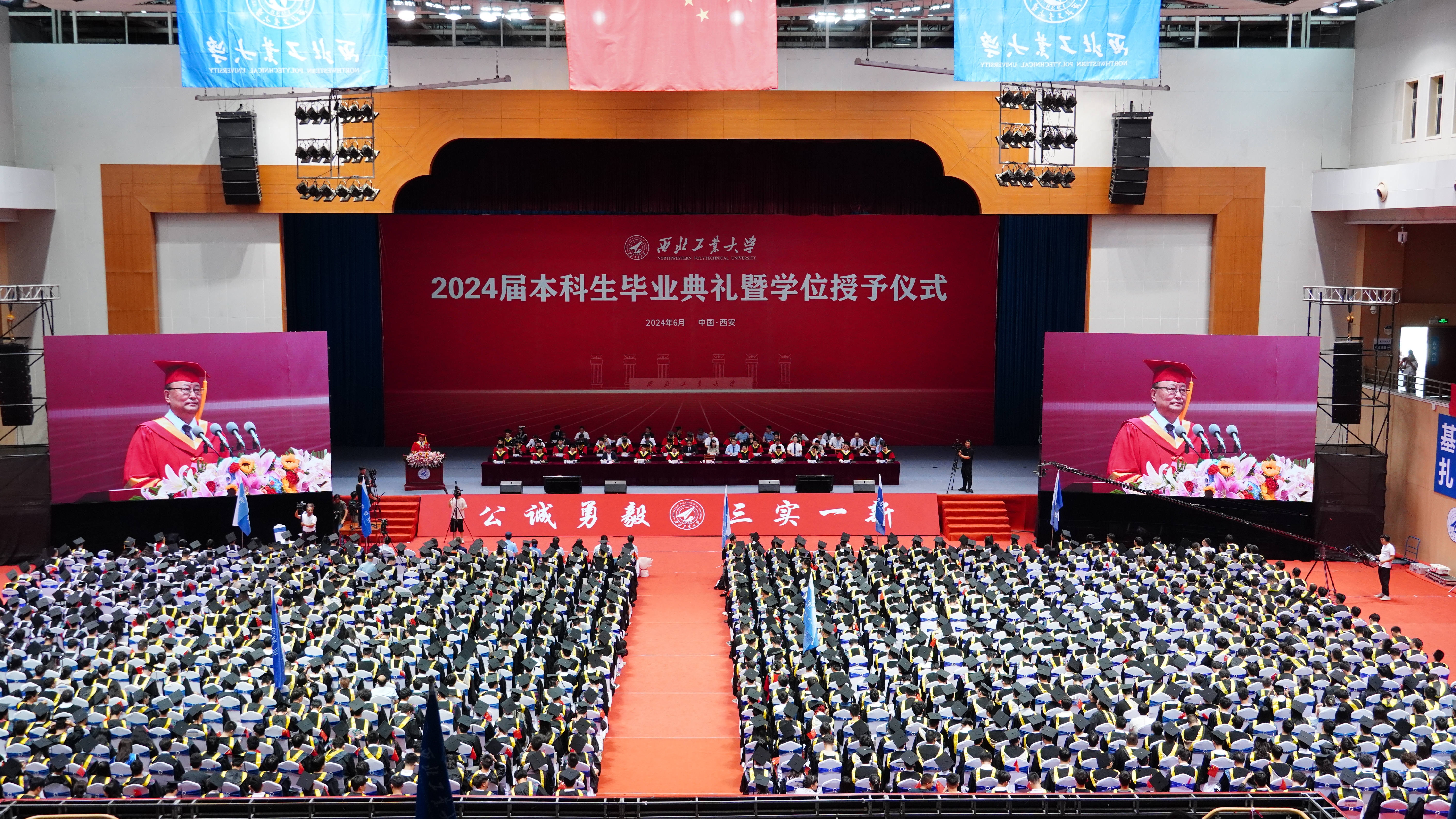 DSC04659.JPG undefined