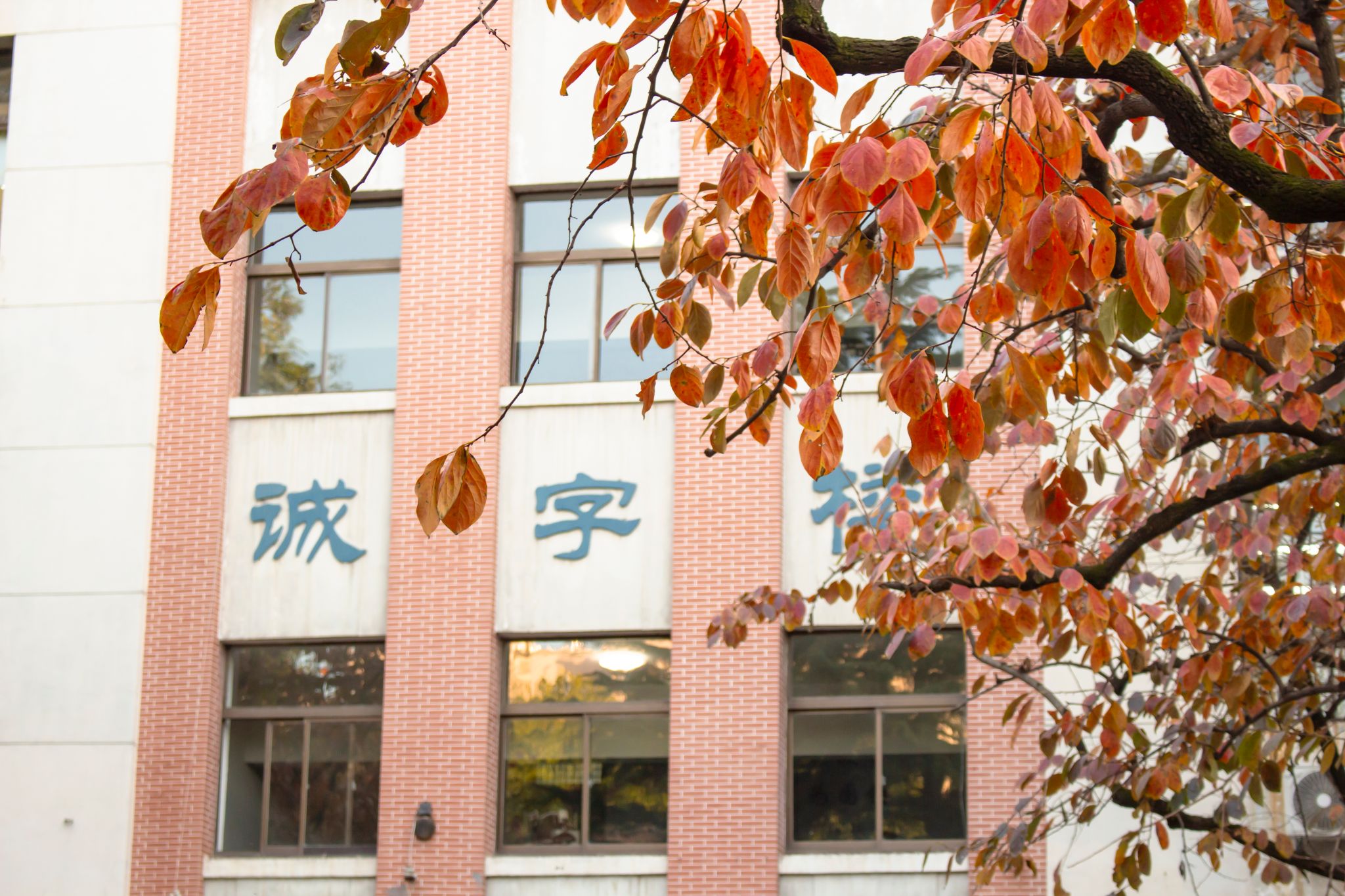 王乐宇 (3).jpg undefined