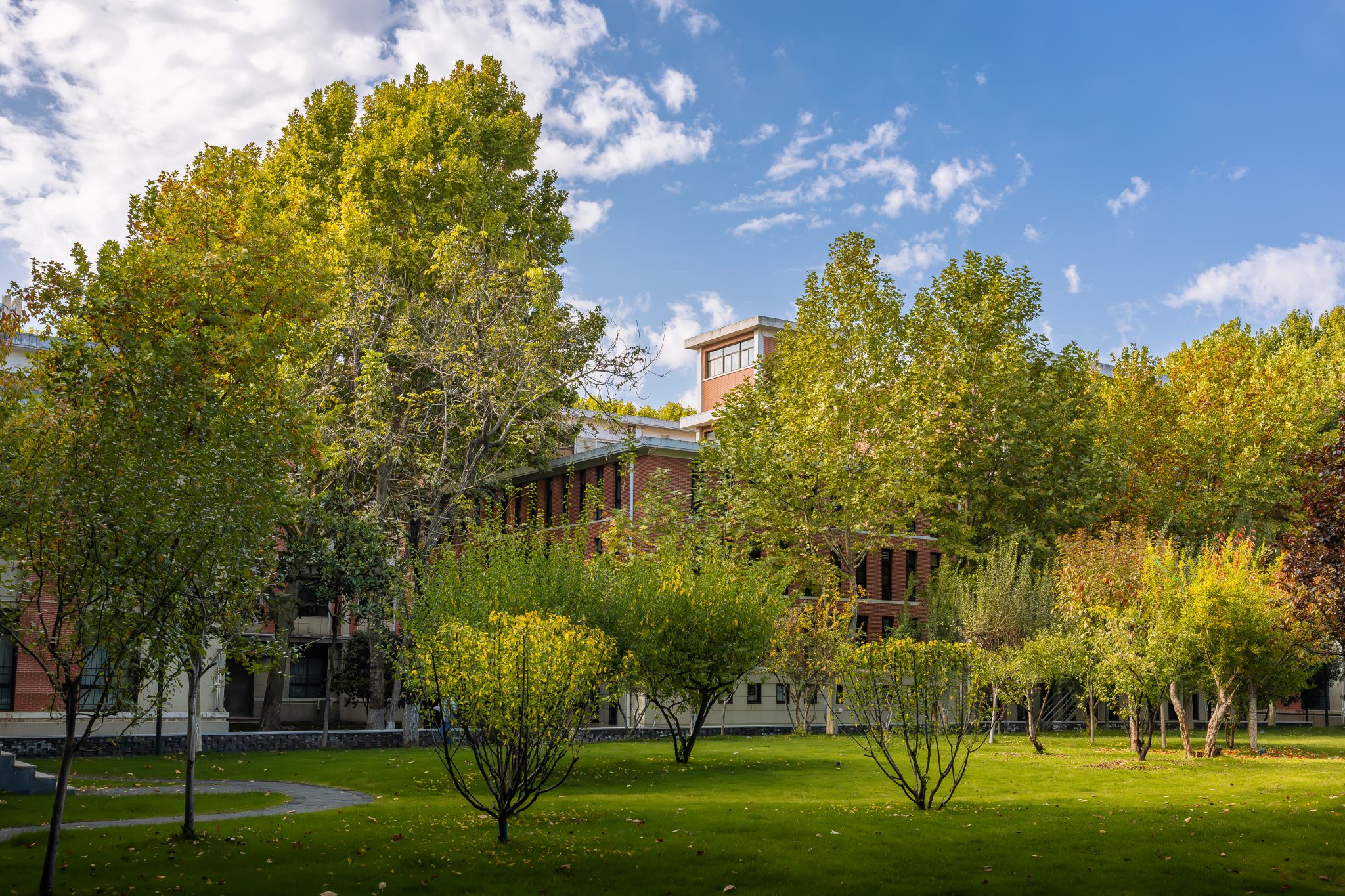 卢迪 (12).jpg undefined